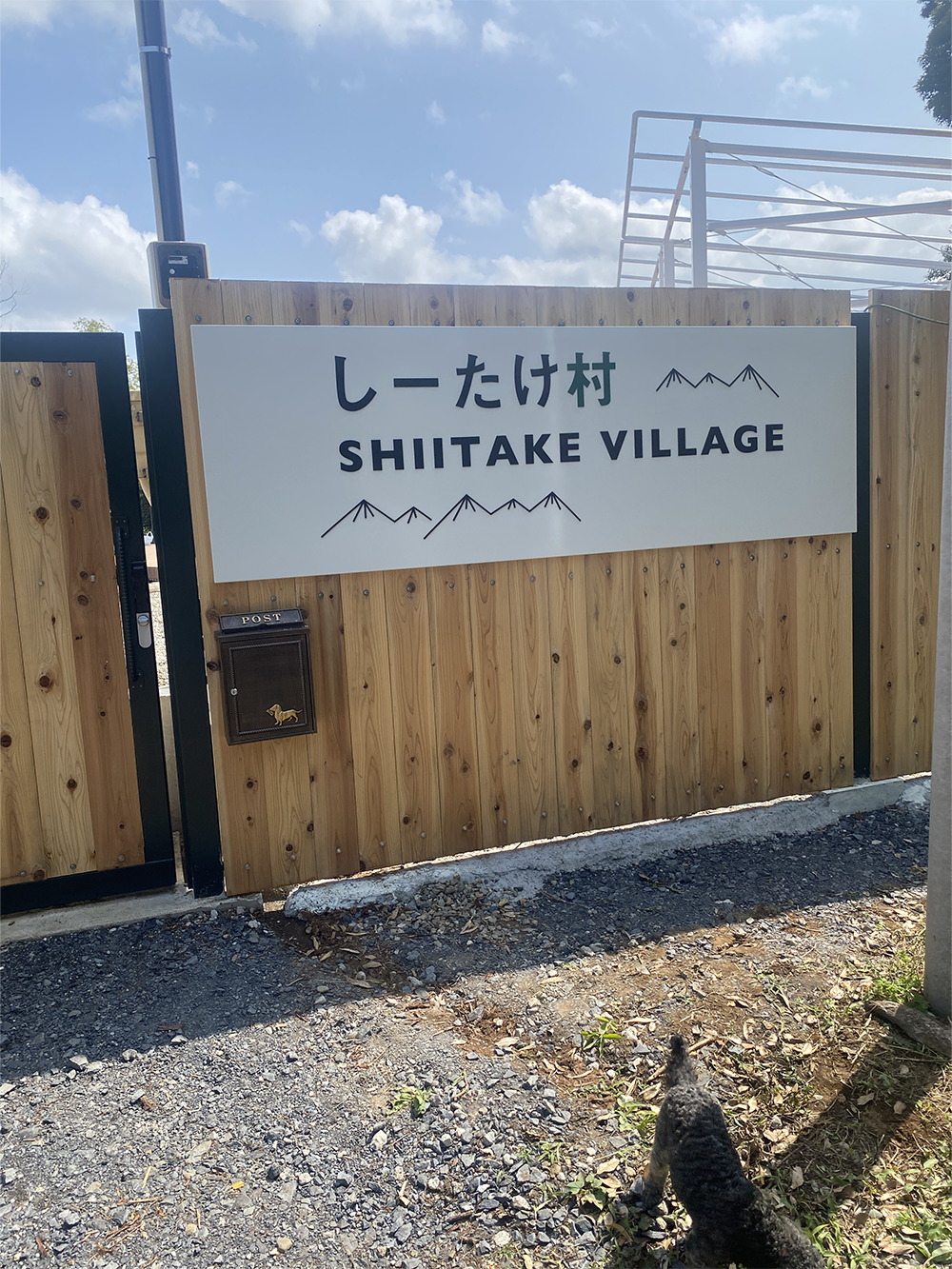 しーたけ村様600クック1